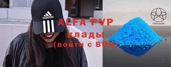 индика Гусев