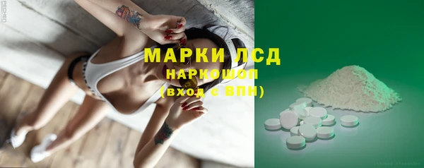 сатива Горно-Алтайск