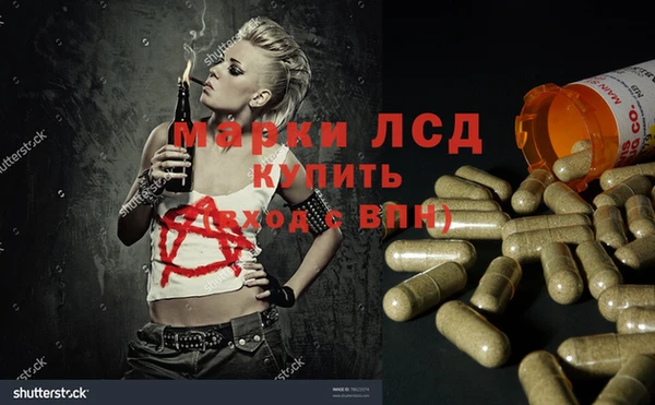 сатива Горно-Алтайск