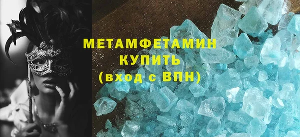 индика Гусев