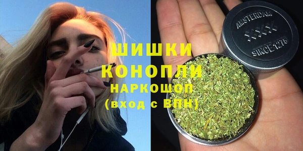 молекула духа Гусиноозёрск