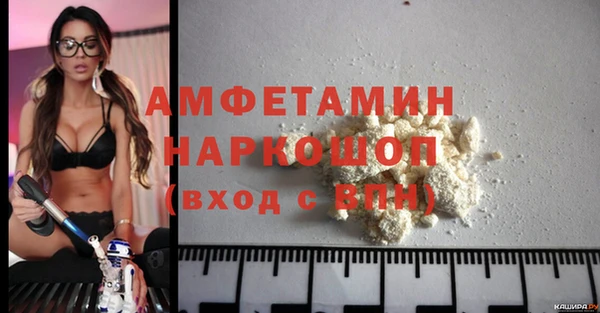 индика Гусев