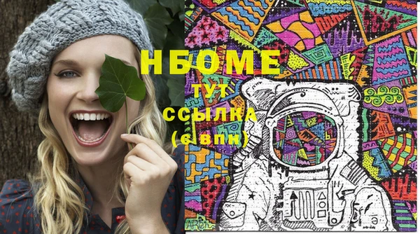 индика Гусев