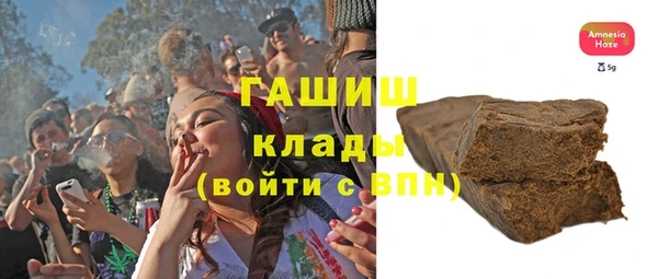 индика Гусев
