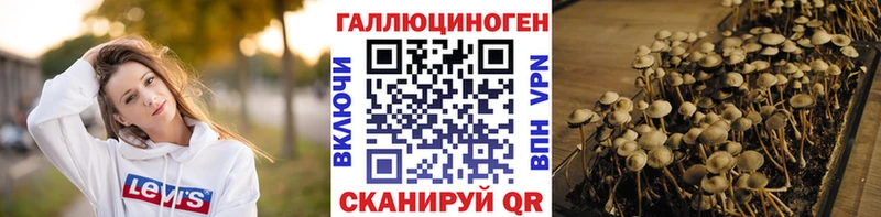 Псилоцибиновые грибы мицелий  Серпухов 